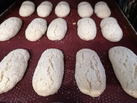 Biscotti da inzuppo artigianali senza zucchero Vegan 500gr con ingredienti biologici